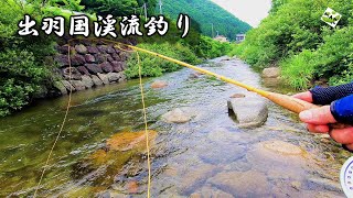 【人里は山女魚たちのパラダイス‼】山戸漁協管内を訪問！山形渓流釣り