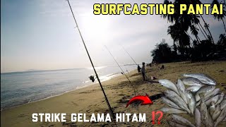 Surfcasting pantai | Strike bertubi tubi waktu pagi ‼️