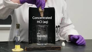 Common Ion Effect - NaCl and HCl