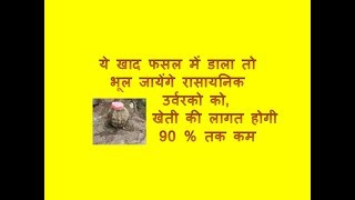 मटका खाद कैसे बनाये, Matka Khad Kaise Banaye मटका खाद कैसे बनाये, Matka Khad Kaise Banaye
