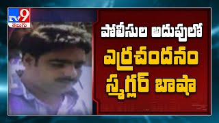 Kadapa : పోలీసుల అదుపులో ఎర్రచందనం smuggler Basha - TV9