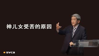 神儿女受苦的原因——于宏洁