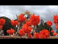 富嶋神社本宮　東釜屋宮入（平成２８年１０月２３日）