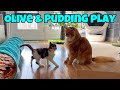 Olive Plays With Her Pudding