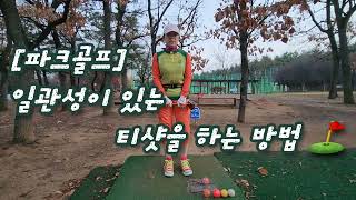 [파크골프] 일관성이 있는 티샷을 하는 방법 ⛳️