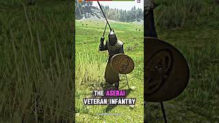 TOP 5 Infantry units in Mount and Blade 2 Bannerlord  #gaming