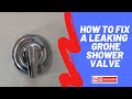 How to Fix a Leaking Grohe Shower Valve