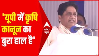 कांशीराम की पुण्यतिथि पर Mayawati बोलीं- BJP-Congress एक जैसी.. Kejriwal के बहकावे में नहीं आना है