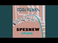 Roads (feat. Spesnew) (Ocsi Remix)