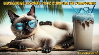 Musique relaxante pour calmer les animaux 🐶💛🐶 THÉRAPIE MUSICALE pour Chats calme et sommeil profond