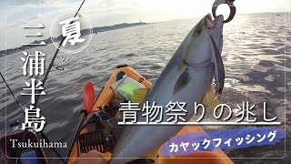 夏の三浦半島 青物祭りの兆し [カヤックフィッシング]