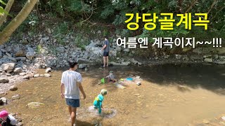 [강당골계곡] 충청남도 아이와 함께 가볼만한 곳, 충남계곡, 아산 핫플레이스