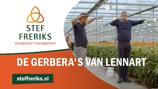 De gerbera's van Lennart