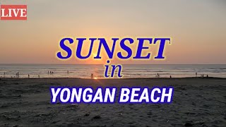 (LIVE) SUNSET IN YONGAN BEACH  |langit biru101