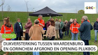 Dijken in West Betuwe na jarenlang werk versterkt met nu ook een plukbos