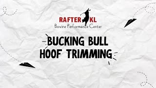 Rafter KL: Bucking Bull Hoof Trim