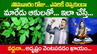 సోమవారం రోజు ఎవరికీ చెప్పకుండా (బిల్వపత్రం) మారేడు ఆకులతో ఇలా చేస్తే వద్దనా అదృష్టం వెంటపడడం ఖాయం