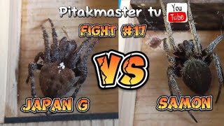 super jumbo japan g. vs samon,  spider fight #17