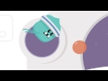 Dumb Ways to Die 2 - The Final Dumbtier