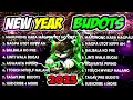 new year nonstop disco budots partymix 2025