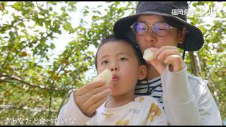 【福岡県オリジナル新品種なし・玉水 】あなたと食べたいな篇