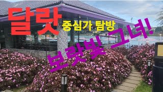 20241116;14;40  달랏 한달살기@달랏 중심가 ,그리고 야시장.didigogayo혼자놀자!