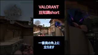 【フェイド】ヘイヴンAサイト防衛ホウント 【VALORANT豆知識】 #Shorts