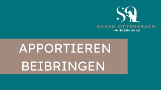 Apportieren beibringen