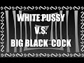 Download WHITE PUSSY VS BIG BLACK COCK In Mp4 3Gp Full HD Video