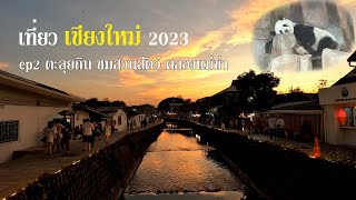 CHIANGMAI VLOG 2023 EP2 - สุกี้ช้างเผือก สวนสัตว์เชียงใหม่ Magokoro house  คลองแม่ข่า | TOYTORY