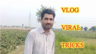 My First Vlog Viral Tricks||village vlog||vlog viral tricks||vlog viral kaise kare #trending