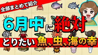 【あつ森】北半球はサメたちが登場！6月の魚、虫、海の幸をまとめて紹介!!【あつまれ どうぶつの森】【ぽんすけ】