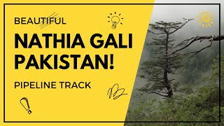 A trip to Nathia Gali - Dunga Gali Pipeline Track in Pakistan - Ayubia National Park!