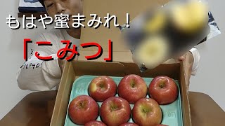 ♯２【こみつ】蜜入りどころか蜜まみれ！青森県産の極上りんごをお取り寄せ・ご紹介！