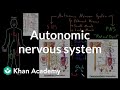 Autonomic nervous system | Organ Systems | MCAT | Khan Academy