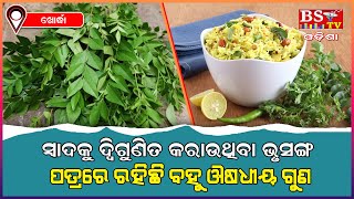 ସ୍ୱାଦକୁ ଦ୍ୱିଗୁଣିତ କରାଉଥିବା ଭୃସଙ୍ଗ ପତ୍ରରେ ରହିଛି ବହୁ ଔଷଧୀୟ ଗୁଣ, ଖୋର୍ଦ୍ଧା || KHORDHA NEWS