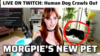 Twitch Streamer Morgpie Shows Off Her "New Pet" – Full Latex Gimp Suit Human Dog Crawls On Stream
