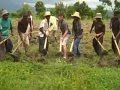 Haitian Farmers Singing- Konbit