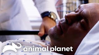 A Man Catches a Deadly Bacterial Infection in Costa Rica! | Monsters Inside Me | Animal Planet