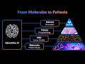 How will AI transform precision medicine? – Ava Amini