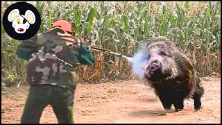 Top 120 - The Tough Fight Of American Hunters With The Wild Boars In The Field | Wild Boar Hunting