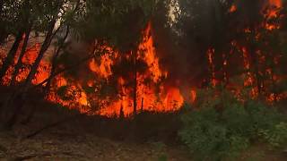 ESA FIRE-READY DEMONSTRATION