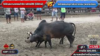 #คลิปวัวชน #สนามชนโคท่าหรั่ง | (พลายน้อย) VS (ไอ้ยักษ์)