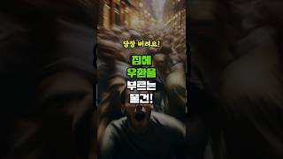 집에 우환을 부르는 물건 - 돈복 크게 터진다 - 돈 버는 방법 - 100억 이상 부자의 특징 - 풍수지리