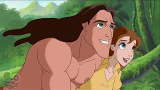 The Legend Of Tarzan   3 - The Lost Cub