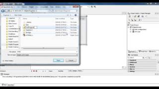 Delphi Program: Getting Started