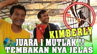 TERHARU ‼️ Murai Batu KIMBERLY Mr HUGENG - Juara 1 Mutlak !!! Tembakan nya Jelas