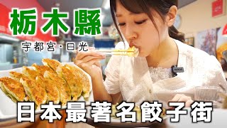 【栃木】餃子食べまくり旅🥟 | 日光\u0026宇都宮 | 日光東照宮 | 餃子 | 華厳の滝 | いろは坂 | 湯葉 | VLOG