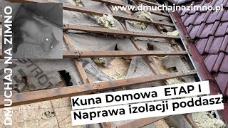 Kuna Domowa - Naprawa ocieplenia poddasza wełną celulozową ETAP I @dmuchajnazimno3191