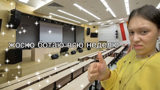 неделя учебы в урфу влог